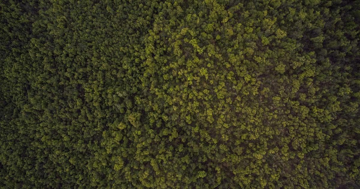 Taxe foncière 2026 : qui paie quoi, calcul, exonérations et hausses